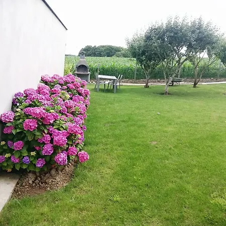 Maison Charmante A Avec Jardin Et Terrasse Tredaniel