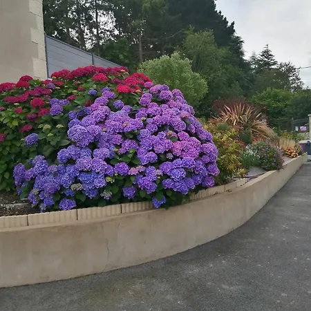 Maison Charmante A Avec Jardin Et Terrasse
